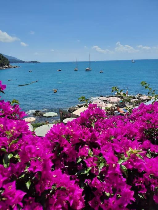 La Terrazza Sul Golfo Dei Poeti Con Vista Mare Lejlighed Pitelli Eksteriør billede